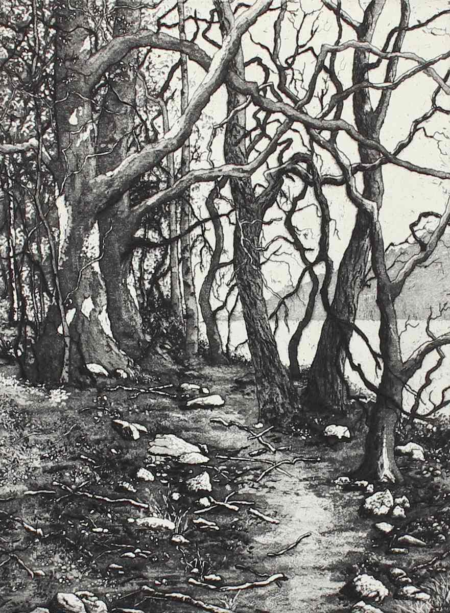 ullswater by stephanie Jane Rampton, Image 1.
