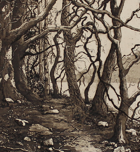 ullswater II second state by stephanie Jane Rampton 