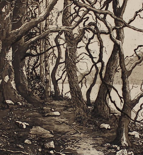 ullswater II second state by stephanie Jane Rampton, Image 1.