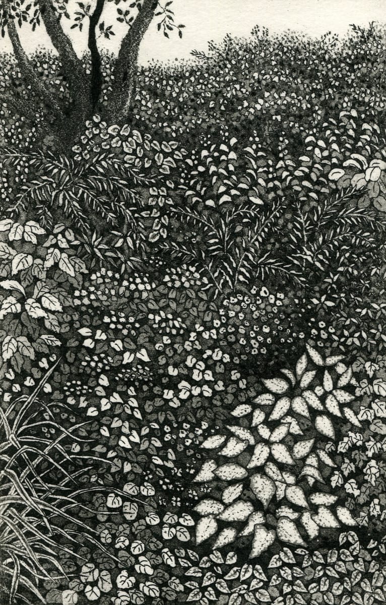 under the tree, Image 1.