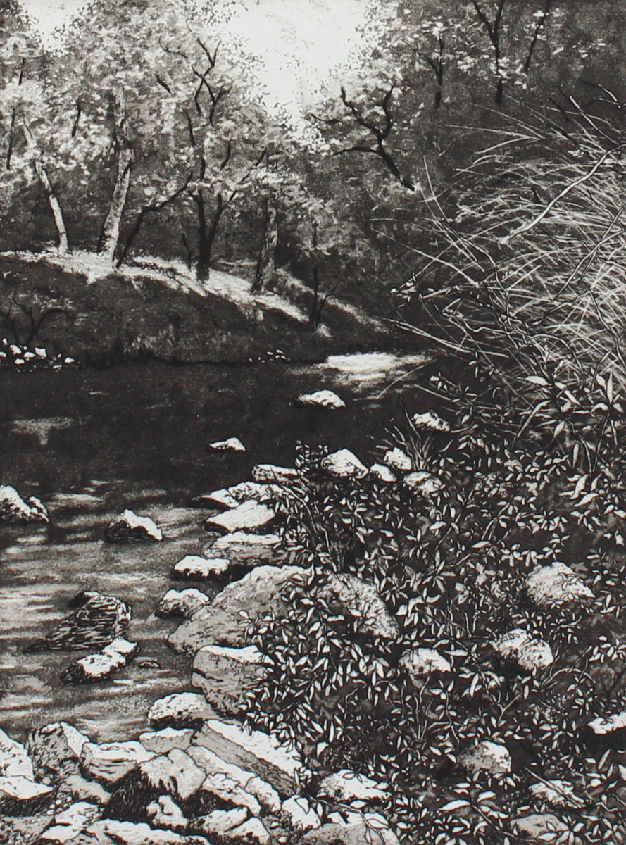 upstream by stephanie Jane Rampton 