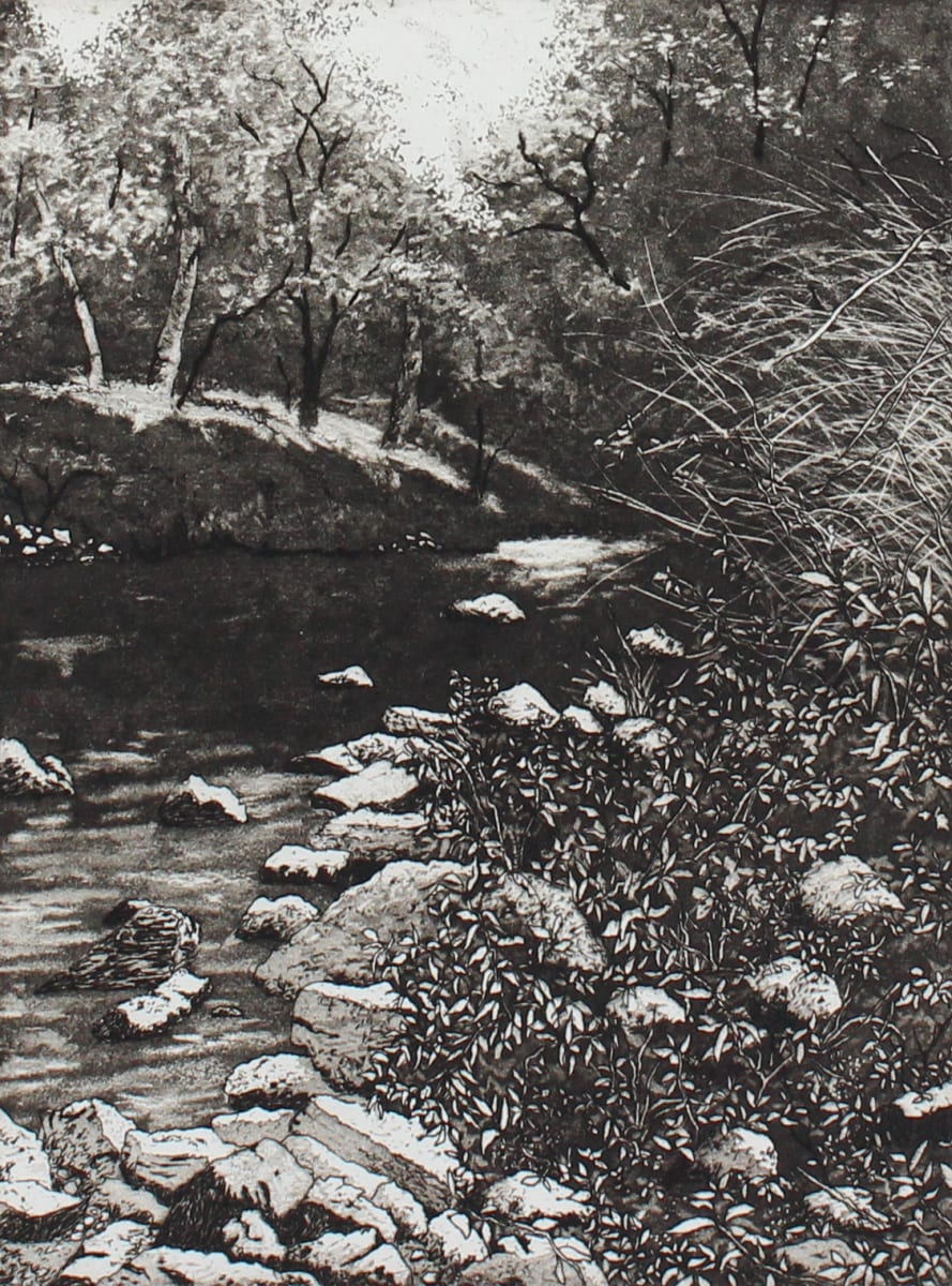 upstream by stephanie Jane Rampton, Image 1.