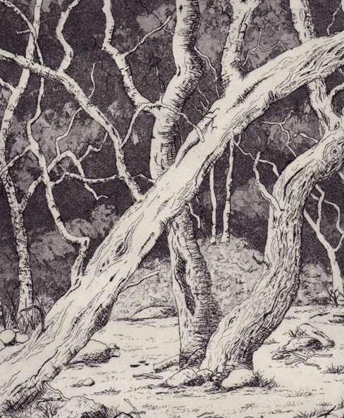 weald second state by stephanie Jane Rampton, Image 1.