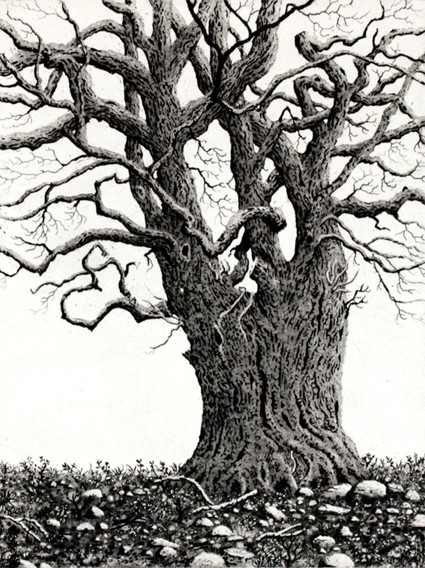 while we wait by stephanie Jane Rampton 