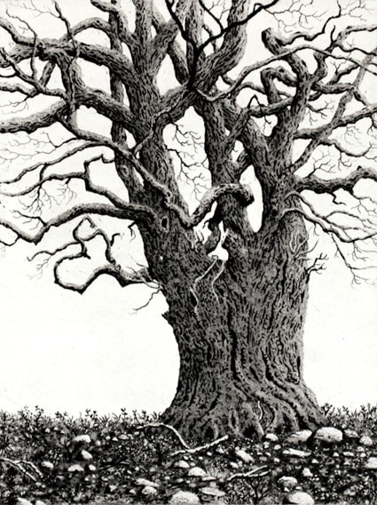 while we wait by stephanie Jane Rampton, Image 1.