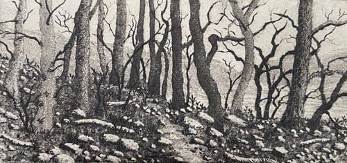 Windermere by stephanie Jane Rampton 