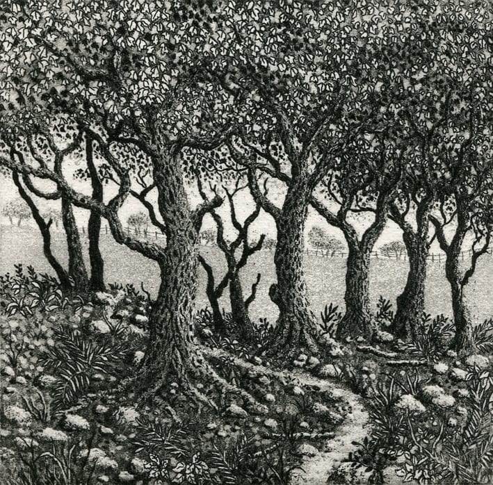 winding path, Image 1.