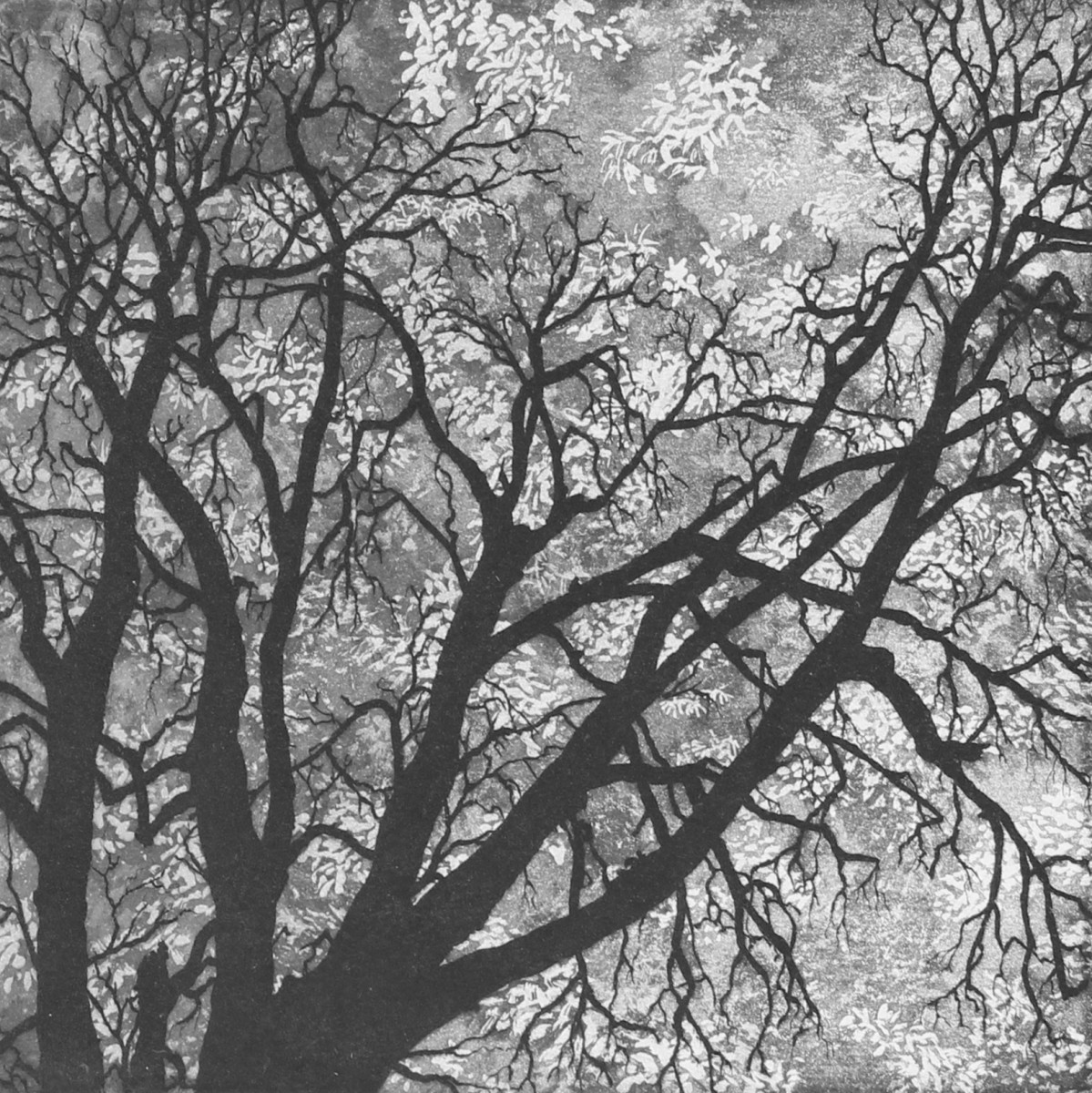 winter garden by stephanie Jane Rampton 