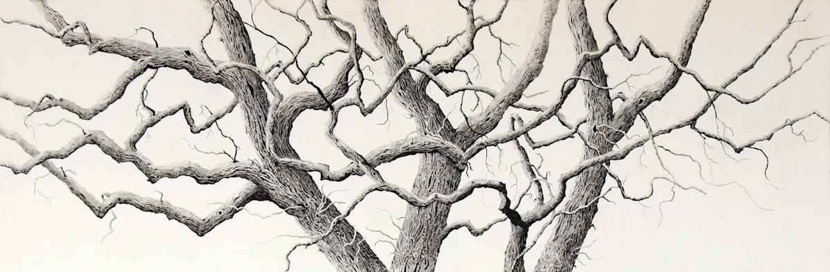 wise in their silence by stephanie Jane Rampton, Image 1.