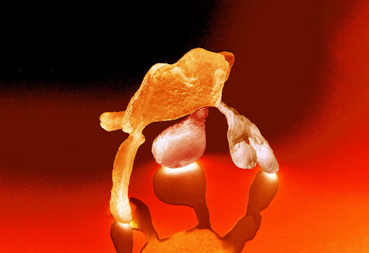 Juggler II (Cadmium) by Anna Kovina 