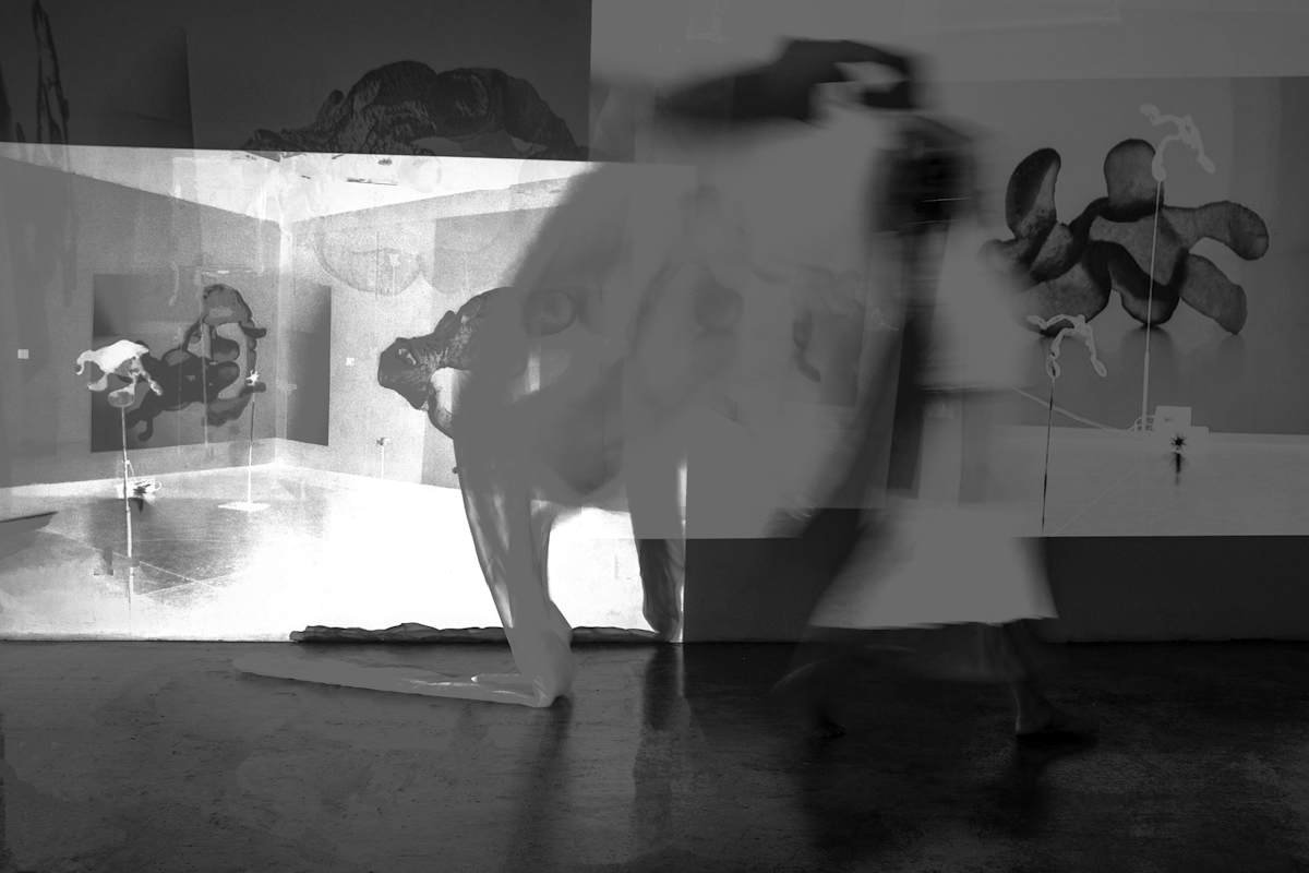 Reappearing Act by Anna Kovina, Image 1.