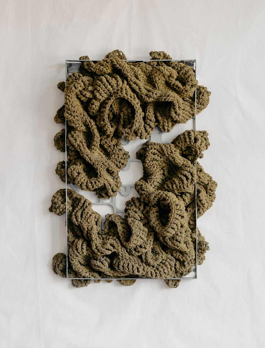 Echo by Monica C. LoCascio, Image 1.
