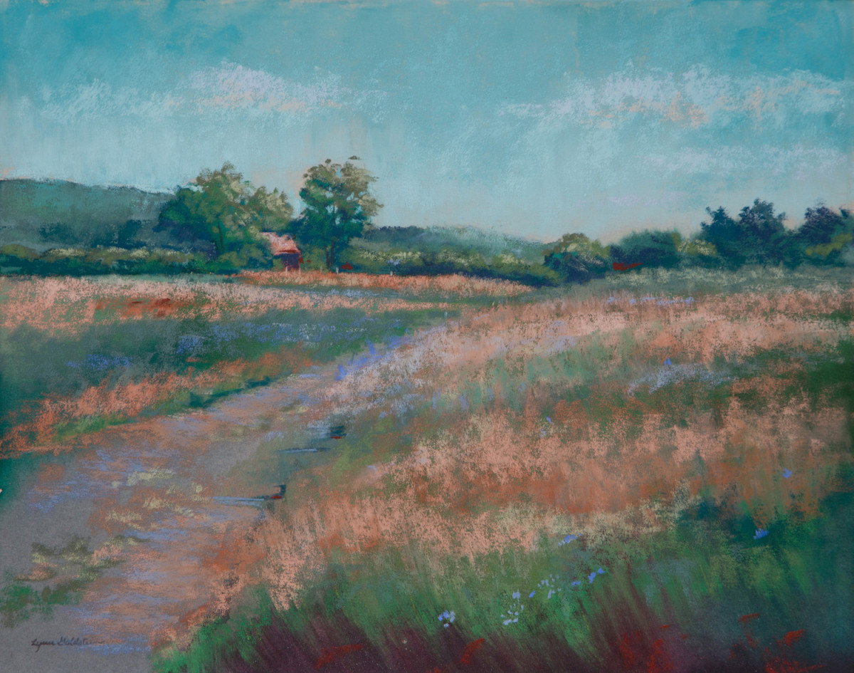 Chicory by Lynn Goldstein 