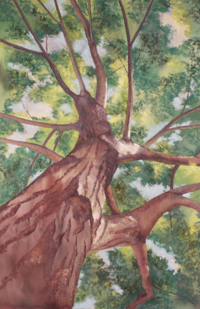 Reaching-Wistfully by Lynn Goldstein 