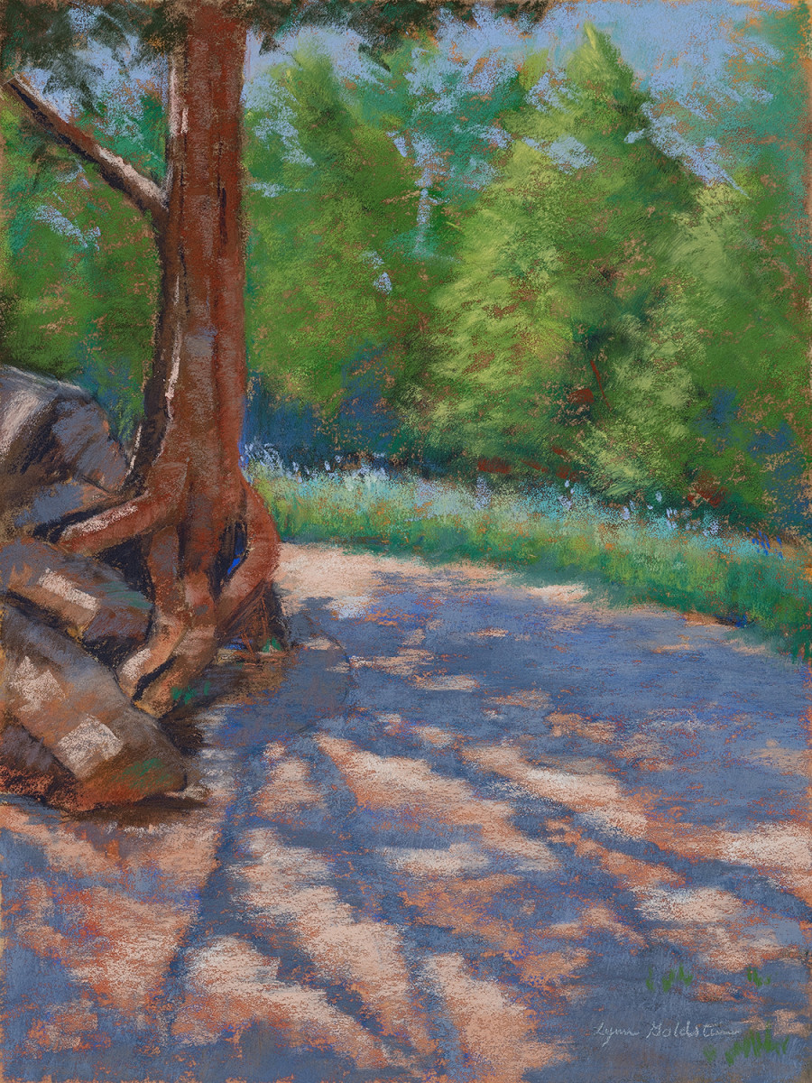 Shadow Play by Lynn Goldstein, Image 1.