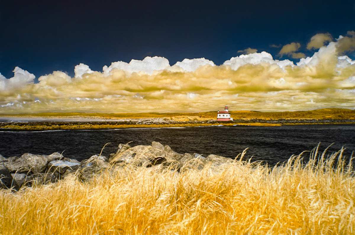Oregon Coast in a Different Light by Linda Devenow, Image 2.