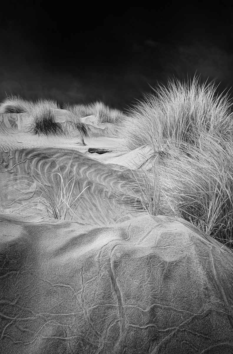Dunes in Isolation by Linda Devenow, Image 1.