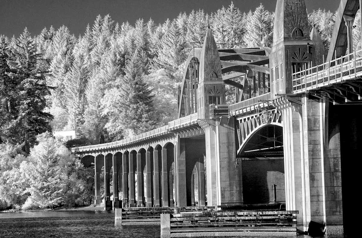 Vivid Summer Foliage by Linda Devenow  Image: Photo Print/
Juried into Florence Wine and Art Festival, 2019/Juried into Oregon State University, Influence of Construction exhibit, 2022