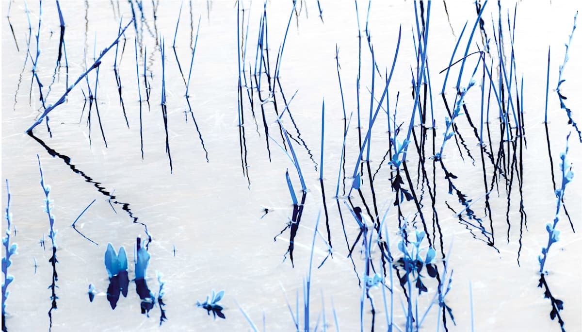 Abstract Reflection by Linda Devenow, Image 1.