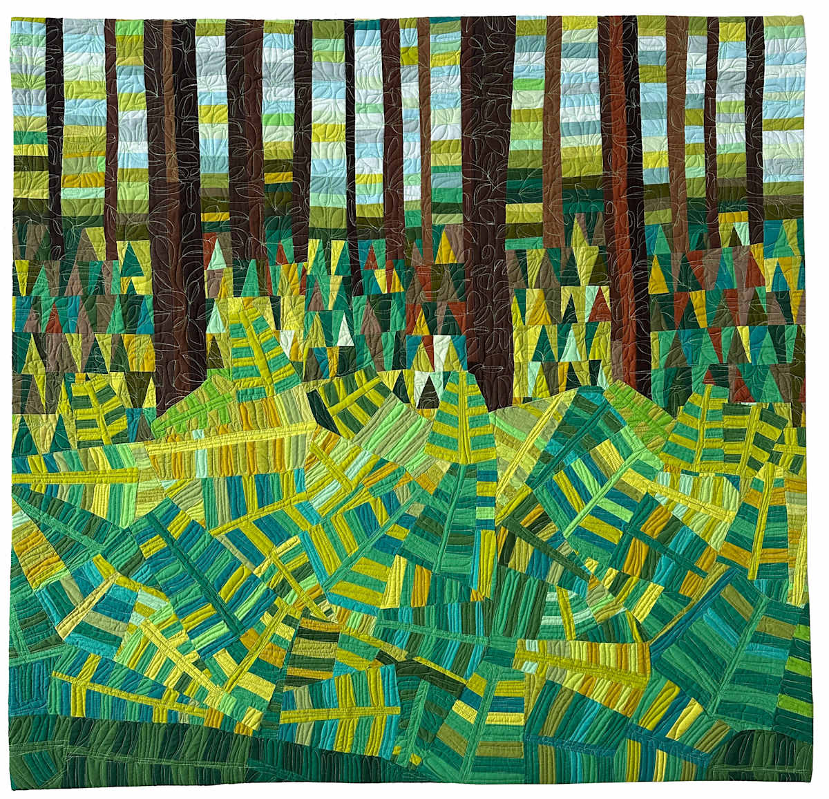 Fern Forest by Barbara Danzi 