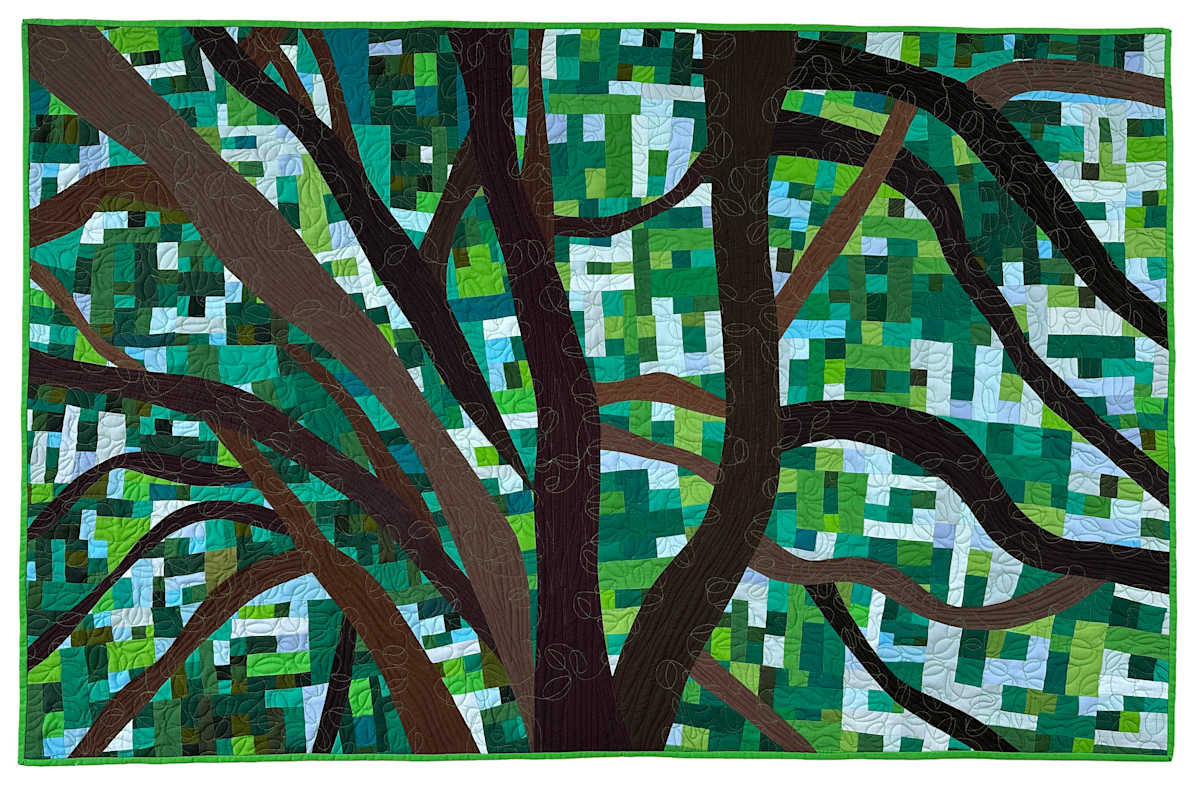 Sky Through Live Oak by Barbara Danzi, Image 10.