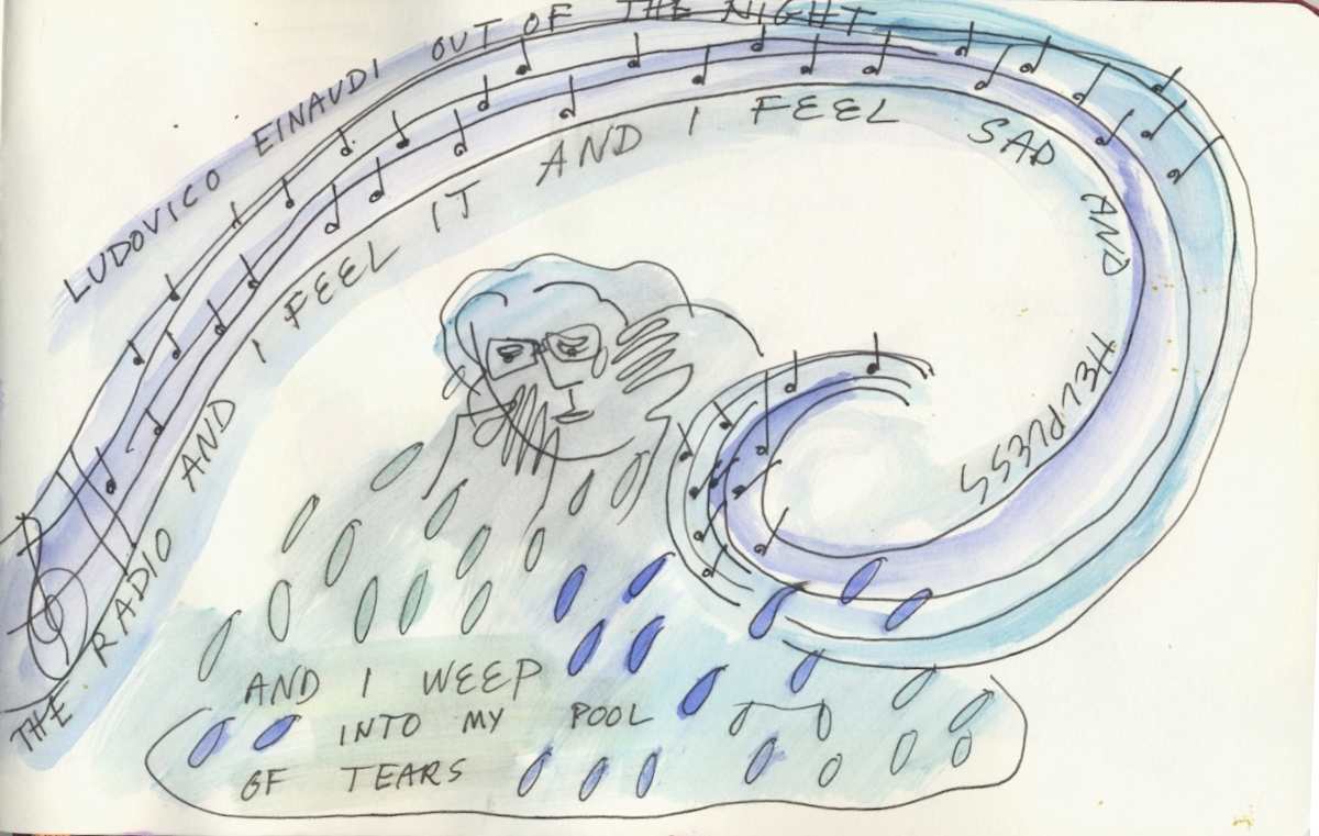 My pool of tears by Anita Inez White 