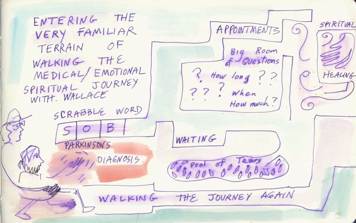 Entering the Medical Labyrinth by Anita Inez White 