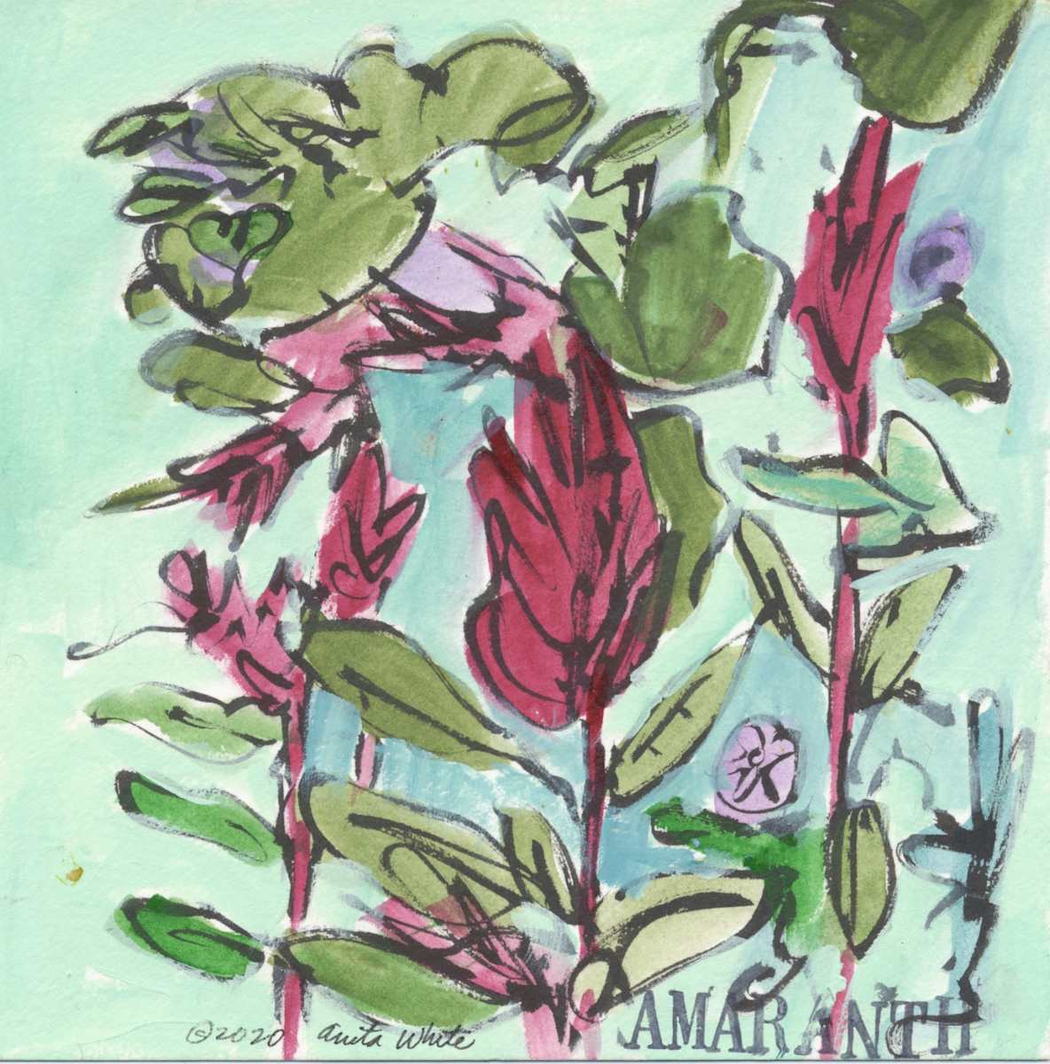 Amaranth with green background by Anita Inez White  Image: Magnificent amaranth growing in my yard