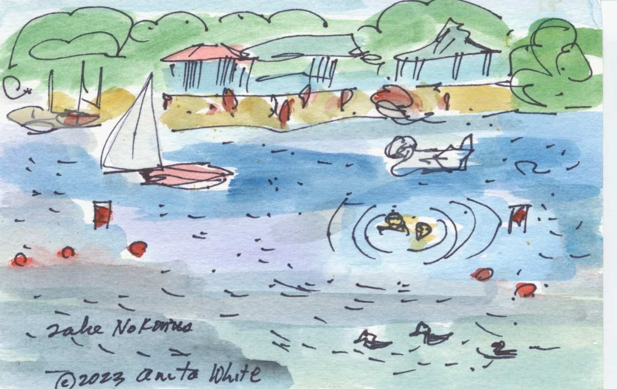 Lake Nokomis by Anita Inez White  Image: Just another charming time at lovely Lake Nokomis