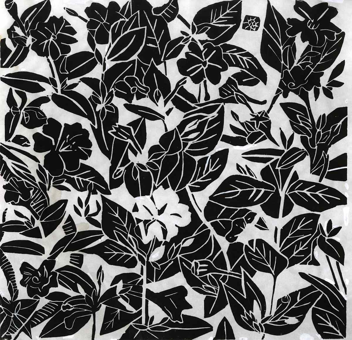 Four O'clock Flowers by Anita Inez White 