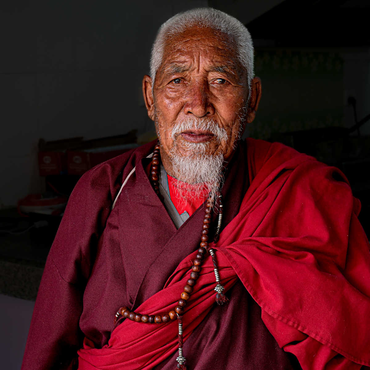 Old Buddhist Monk by George Salter Photography | Artwork Archive