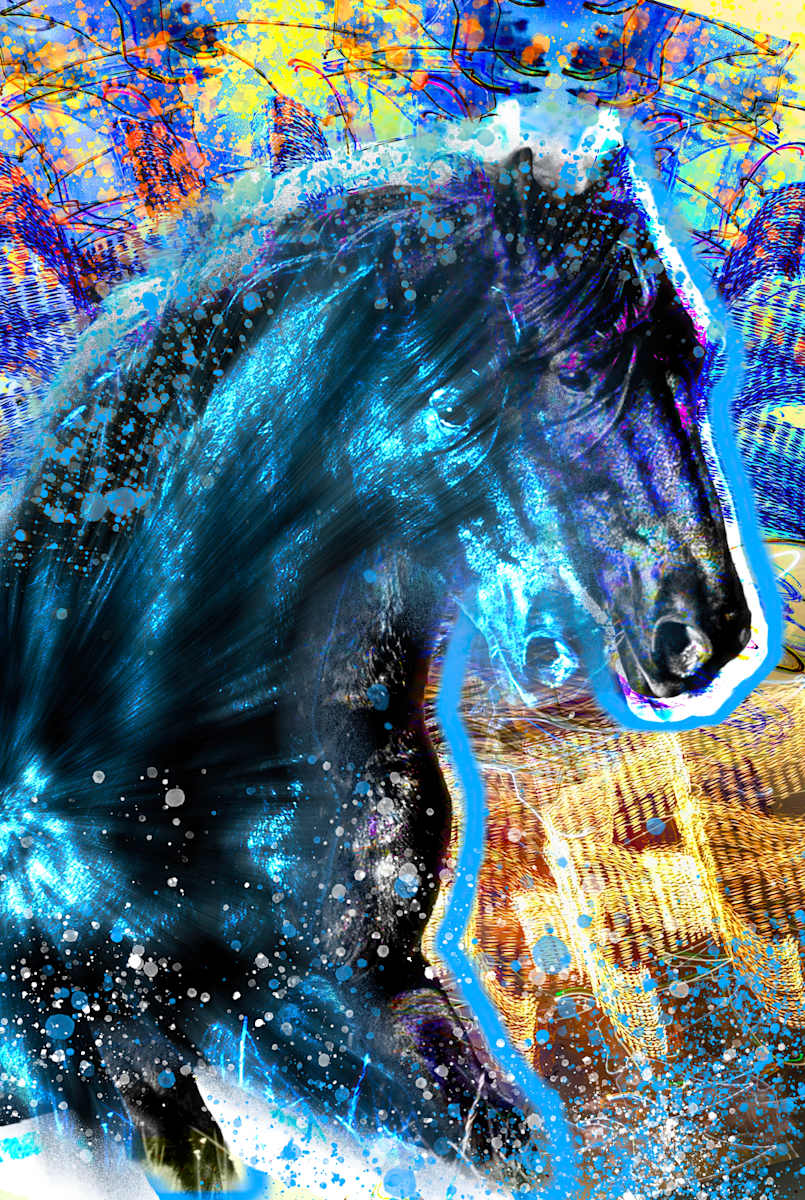 Black Stallion by Michael Hefferon 