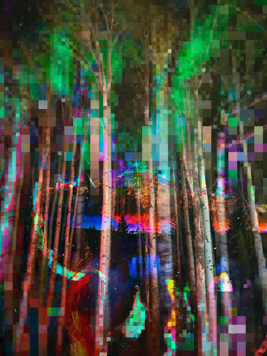 Vagabond - Buffalo Dreams by Michael Hefferon  Image: Vagabond