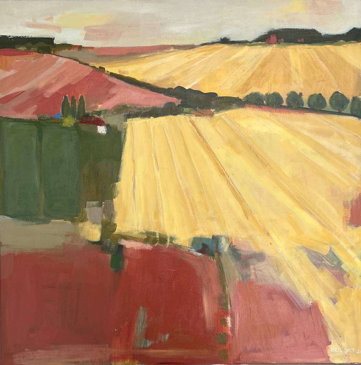 Colourfields by Bridget Greenwood, Image 4.