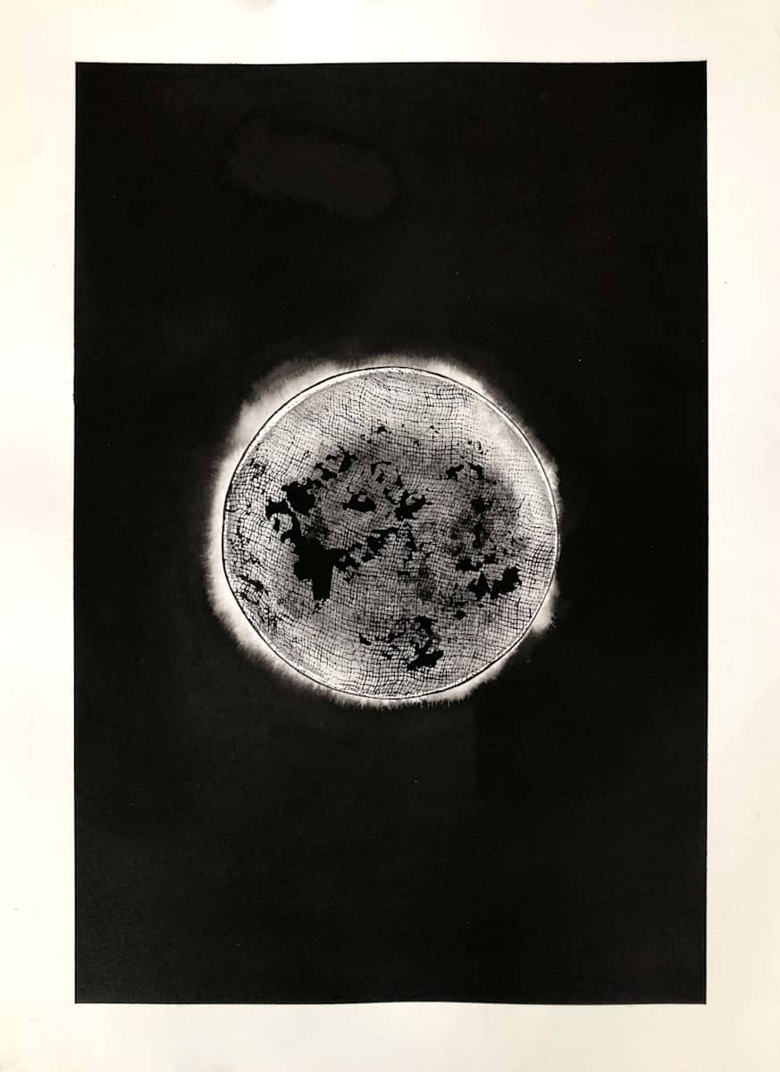 Diatomée by Aurélie Jourdain, Image 1.