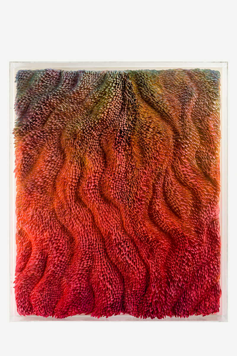 WINGS 1, META-MORPHOSIS series by JAVIER LEÓN PÉREZ  Image: General view 1