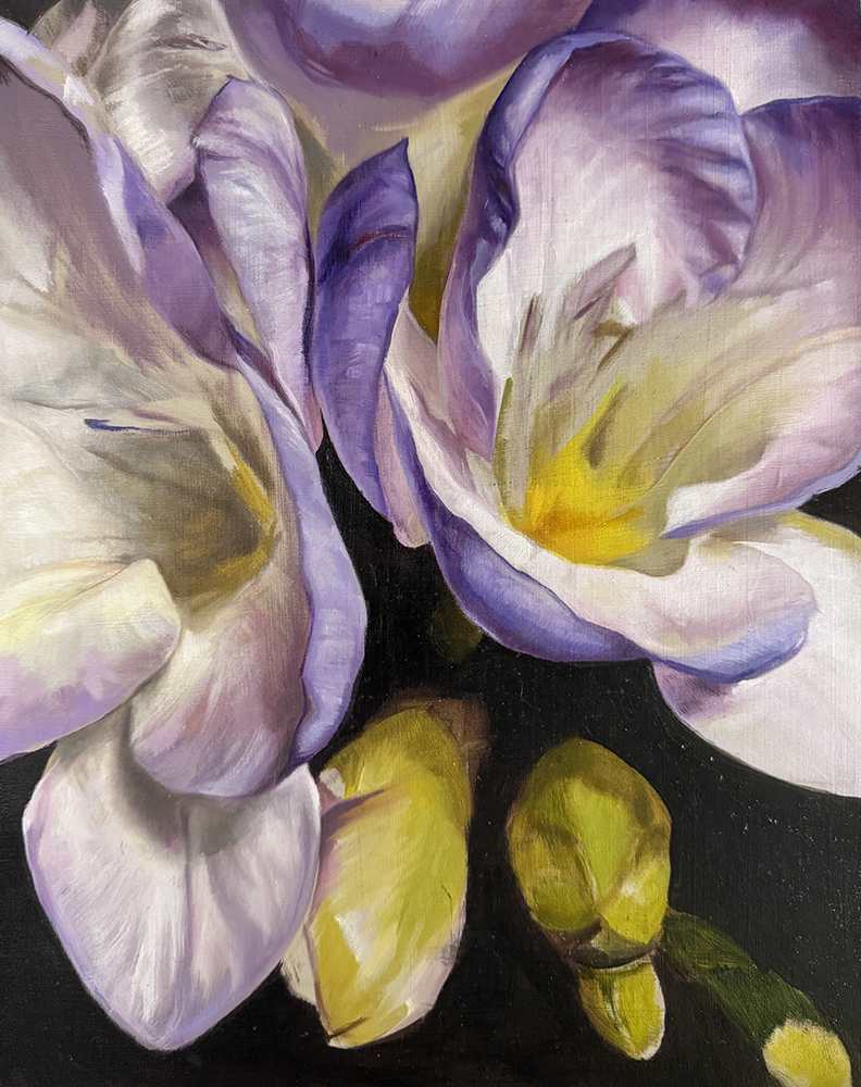 Freesia Close Up by Lindsay Shillington 
