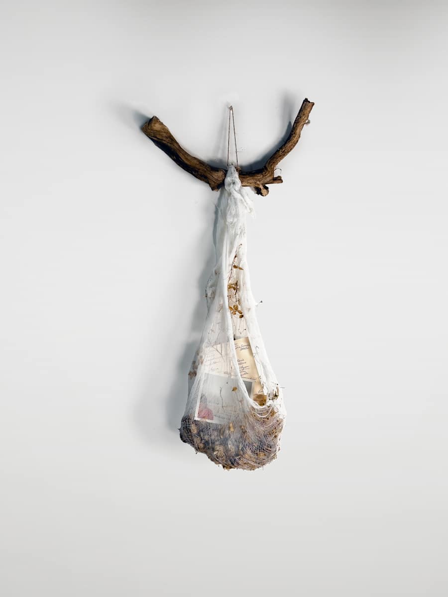 Relics of Life by Jaclyn Gordyan 