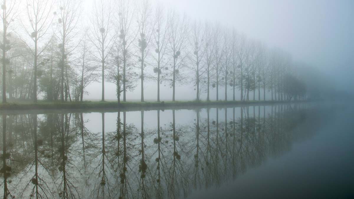 Misty Illusion by Barbara Brenner, Image 1.