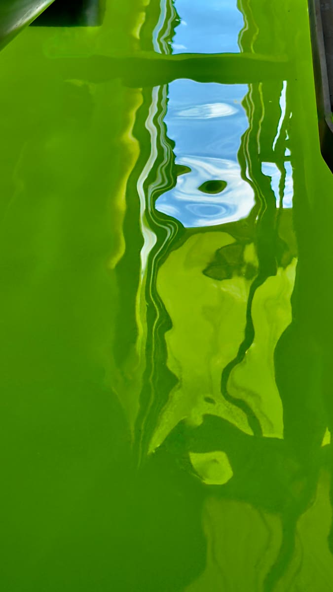Mystic Blue by Barbara Brenner, Image 1.