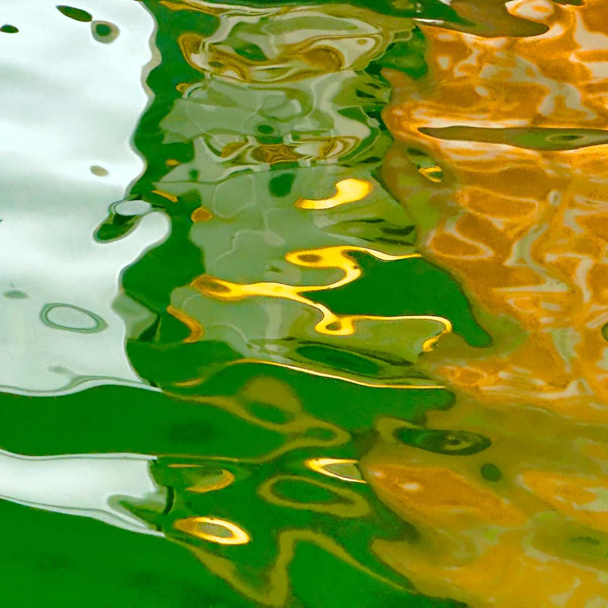Mystic Gold by Barbara Brenner, Image 1.
