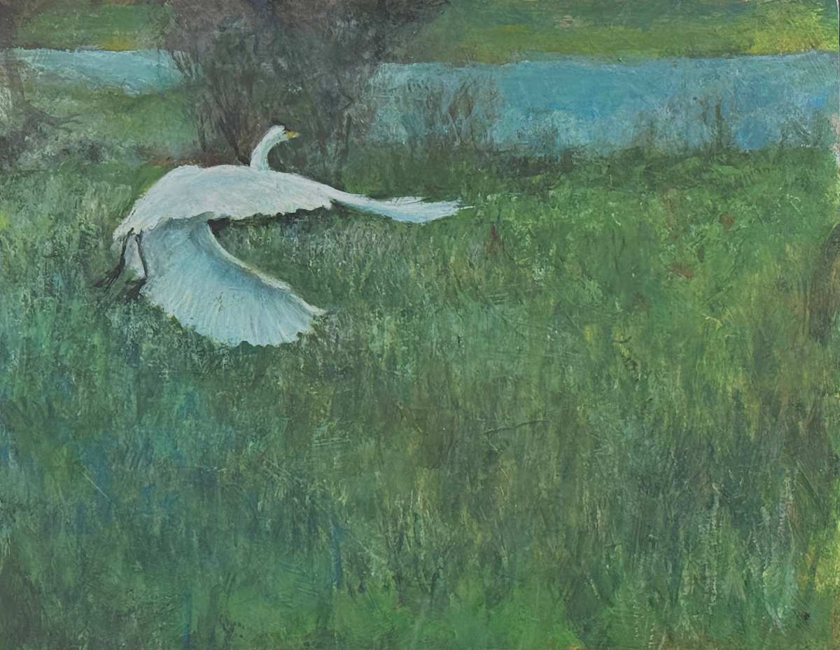Wheels Up by Shauna Shane, Image 1.