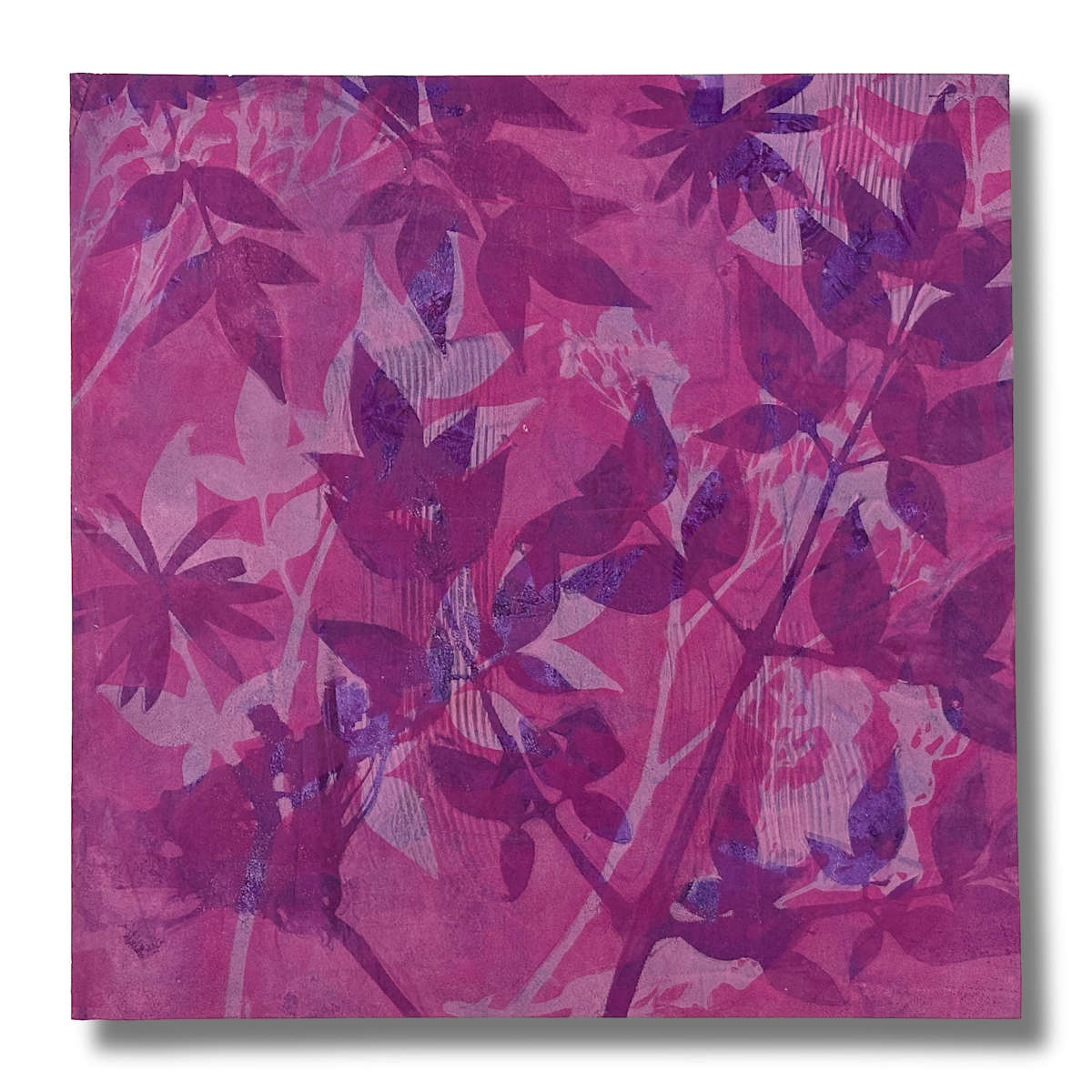 Evening Bloom by Hannah Klaus Hunter  Image: Evening Bloom