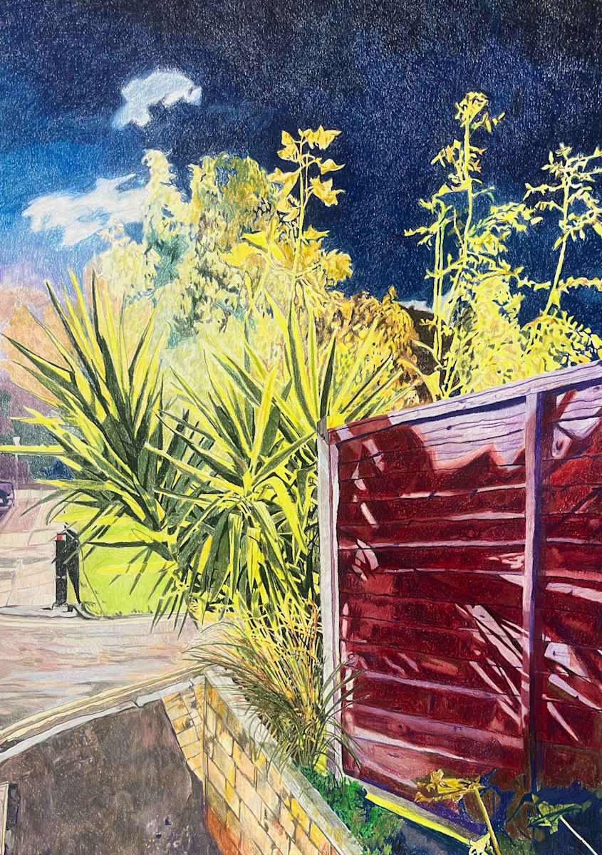 Backyard Scene with Yukka by Sarah Dee Barrett, Image 1.