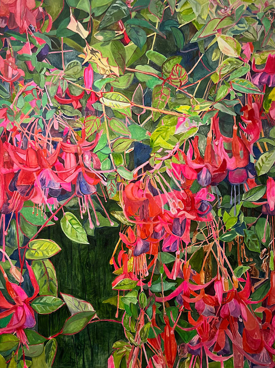 Fuchsia Cluster by Sarah Dee Barrett 