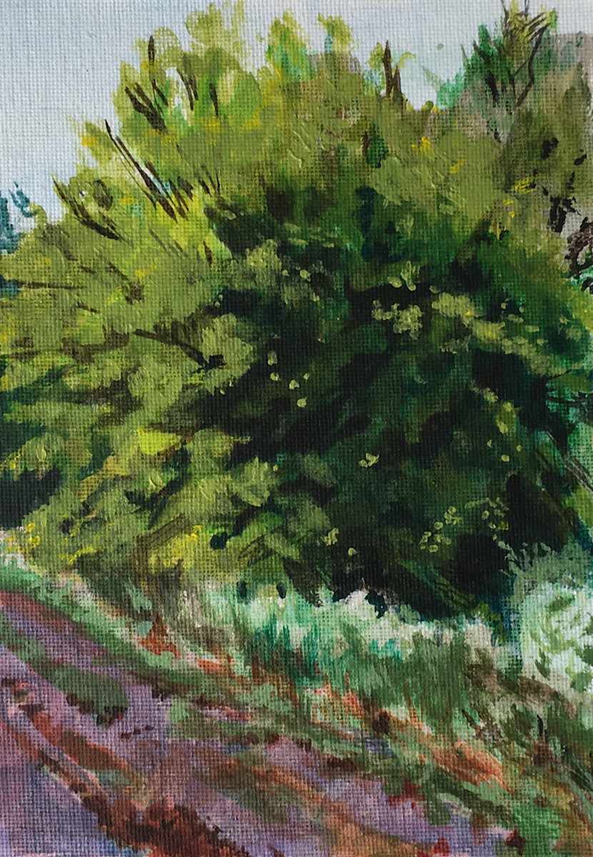Hackney Bush in April by Sarah Dee Barrett, Image 1.