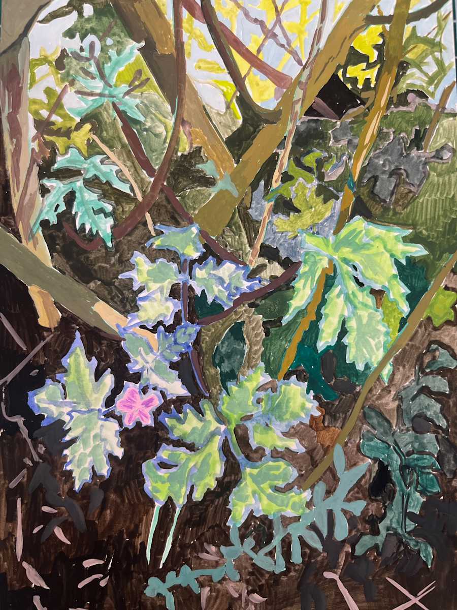 Hedgerow Growth by Sarah Dee Barrett 