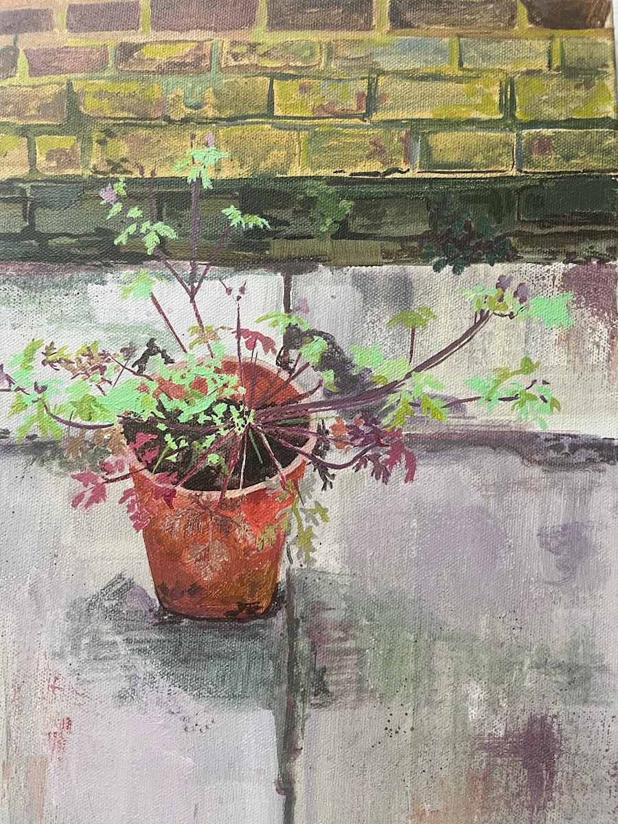 Herb Robert by Sarah Dee Barrett, Image 1.