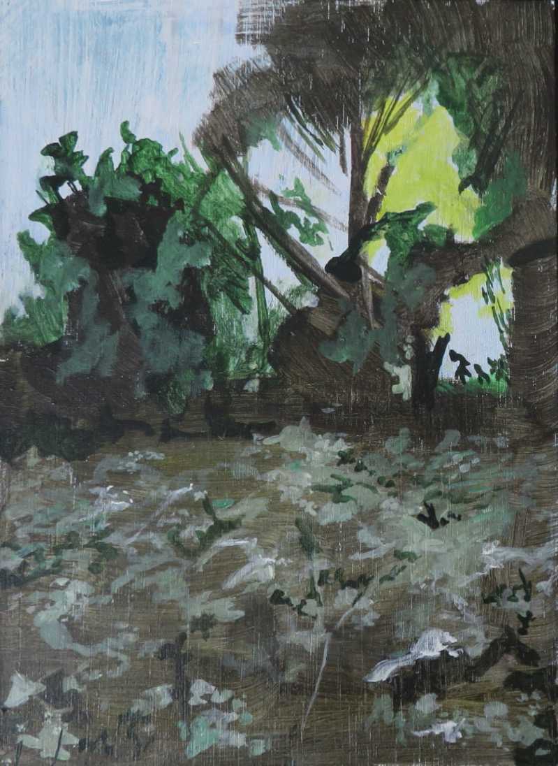 Neon morning by Sarah Dee Barrett, Image 2.