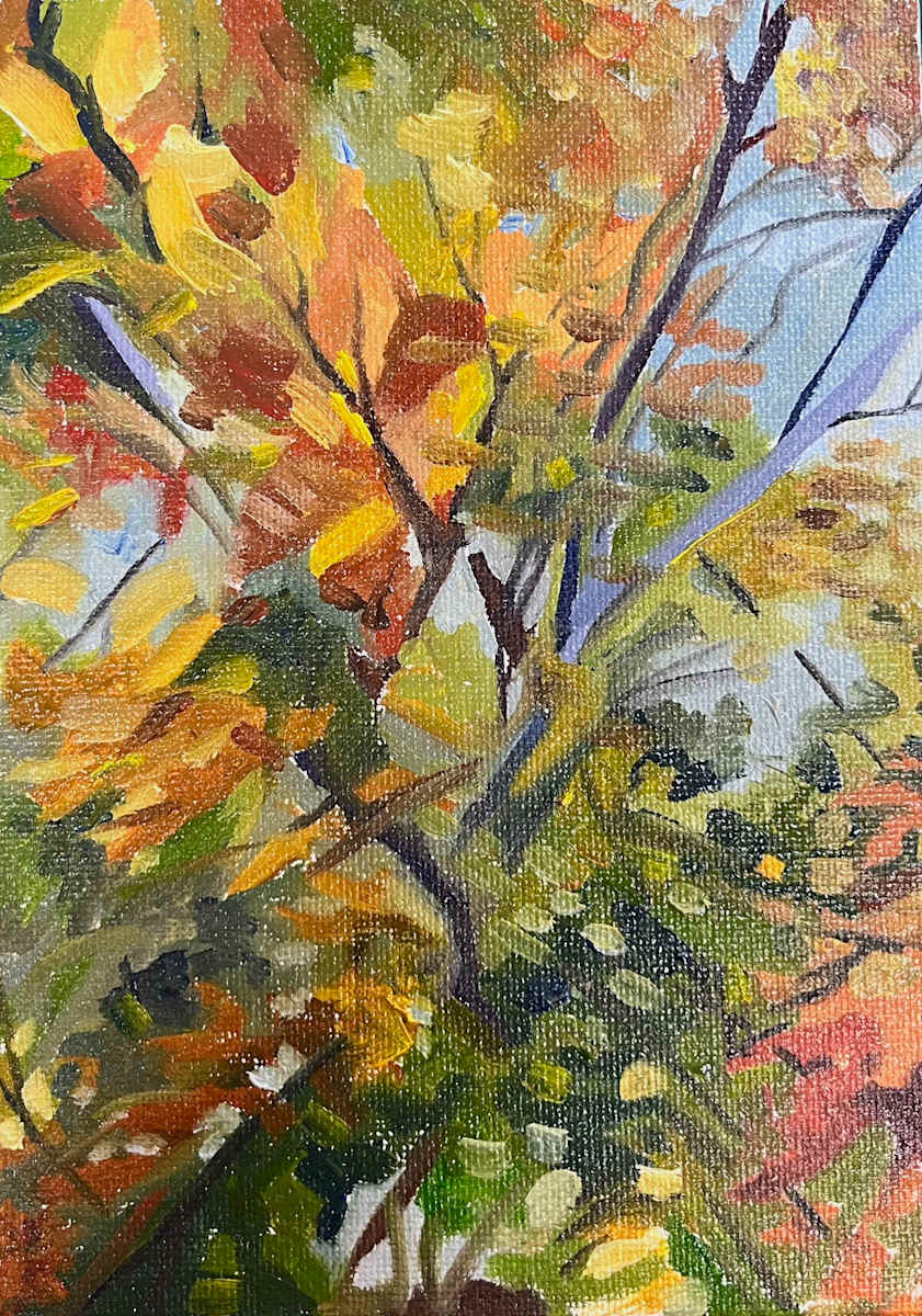 Mini Autumn Blur by Sarah Dee Barrett 